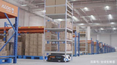 智能時代,倉儲物流如何降低成本,提高效率