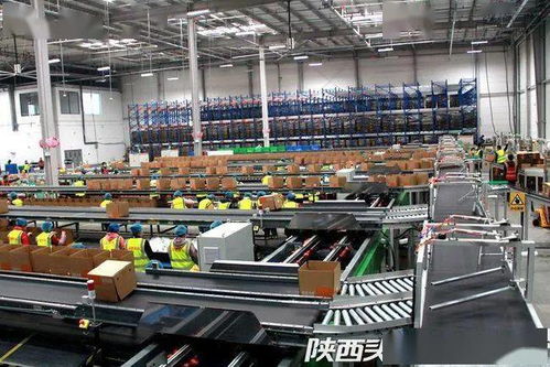 西安聯(lián)手阿里破解農(nóng)產(chǎn)品倉儲物流難題，西北最大數(shù)字農(nóng)業(yè)倉配體系正式啟用